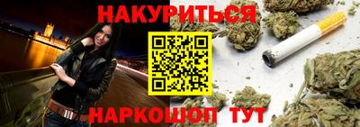 индика Лесосибирск