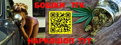 индика Лесосибирск