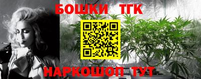 индика Лесосибирск