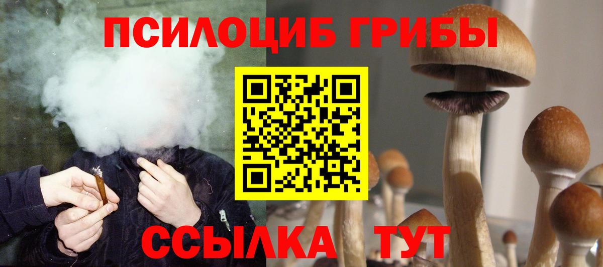 Галлюциногенные грибы MAGIC MUSHROOMS Елабуга